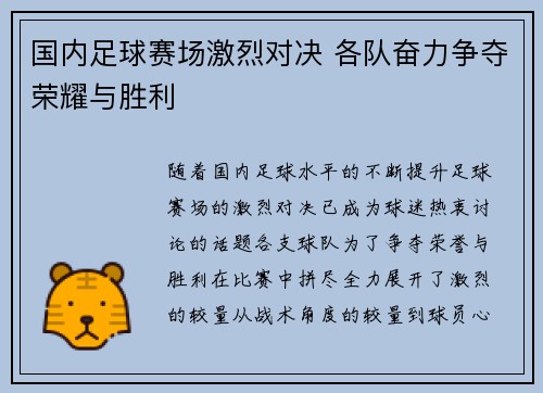 国内足球赛场激烈对决 各队奋力争夺荣耀与胜利